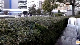欧美性色黄大片